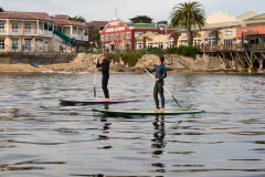 SCP4739scottcampbell