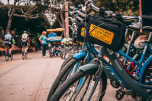 Adventures by the Sea